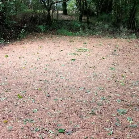 Dargle Camping & Caravan Site Gomane Room photo