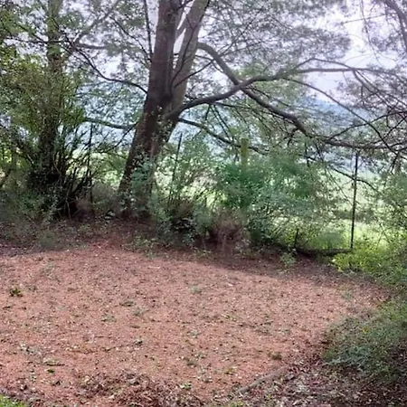 Dargle Camping & Caravan Site Gomane Room photo