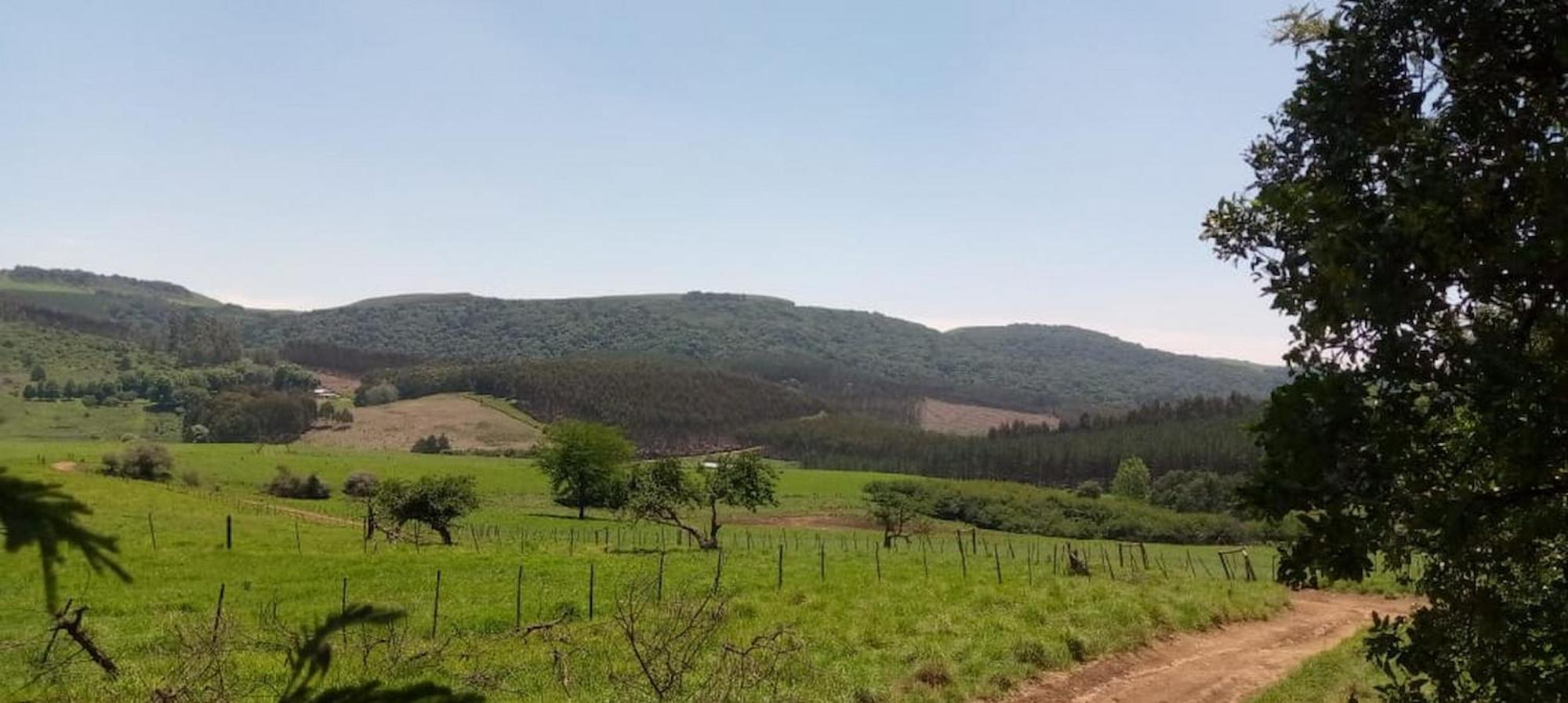 Dargle & Caravan Site * Gomane